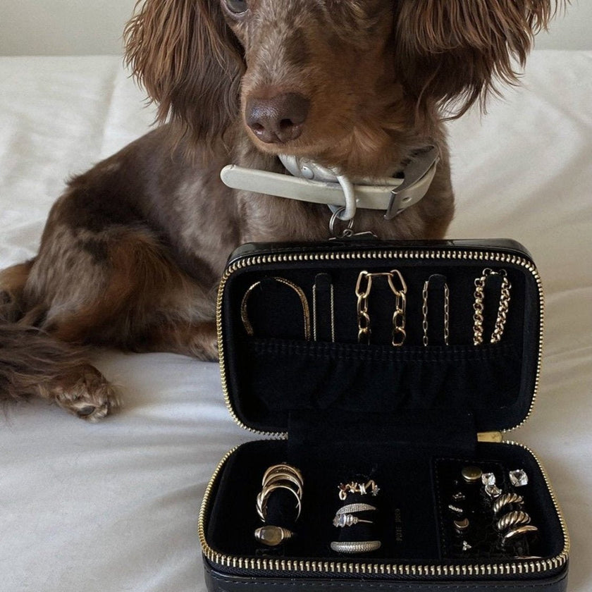 Blake Jewelry Case Large - Distractions Clothing