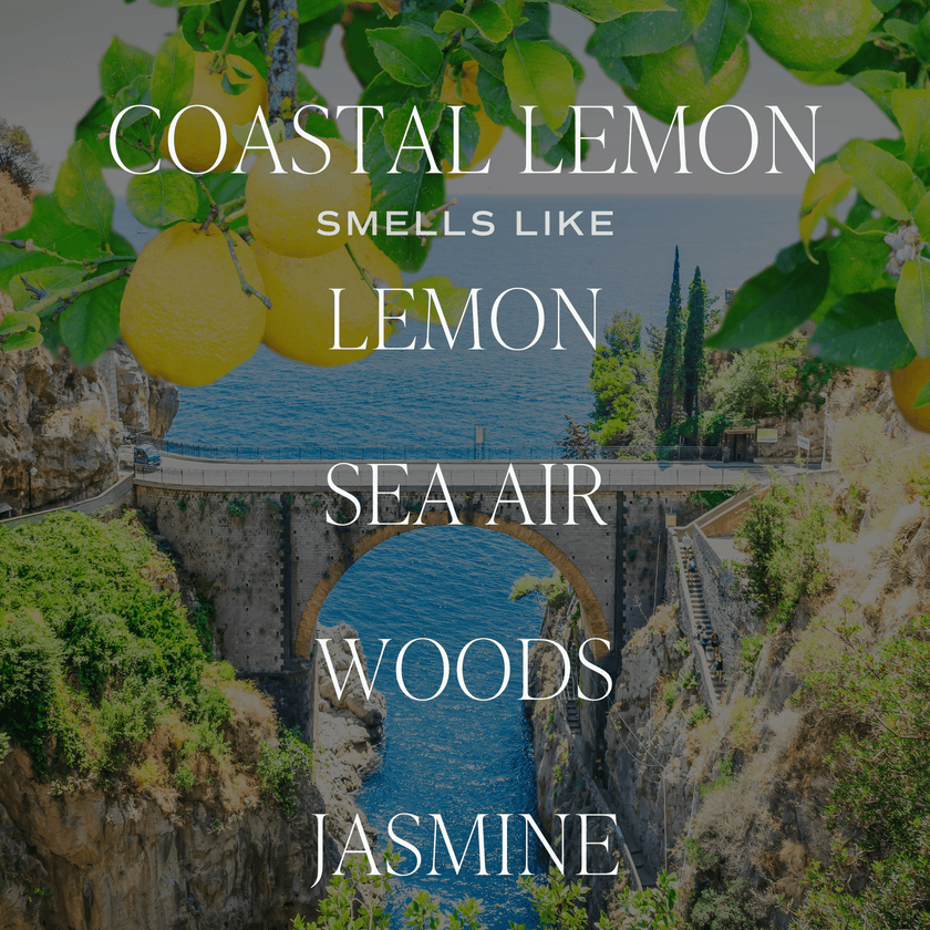 Coastal Lemon Candle - Distractions Clothing