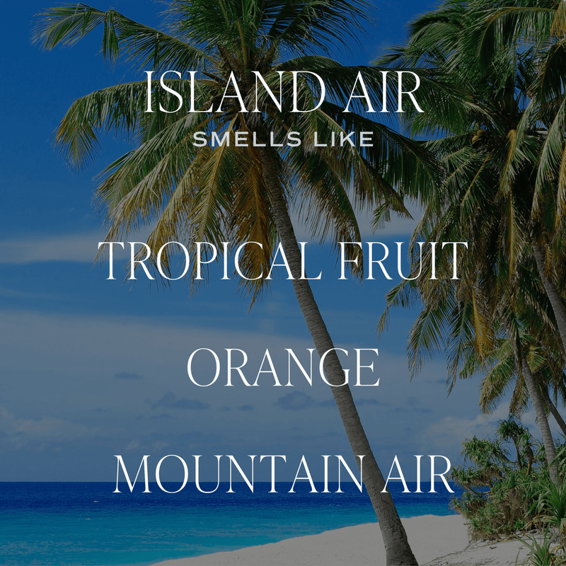 Island Air Reed Diffuser - Distractions Clothing