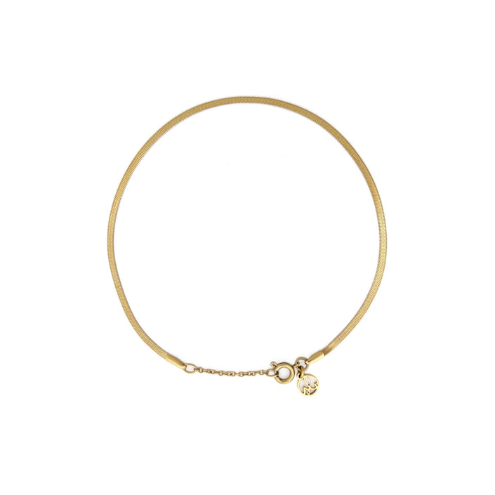 Ivy Anklet - Distractions Clothing