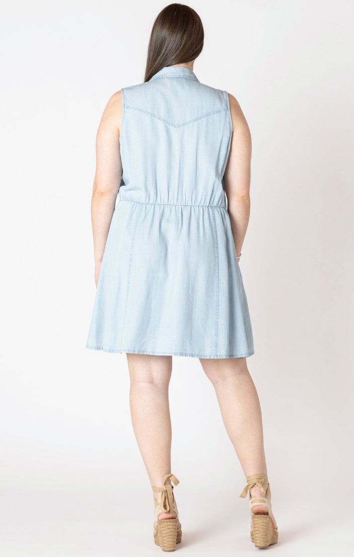 Lacey Curvy Dress - Distractions Clothing