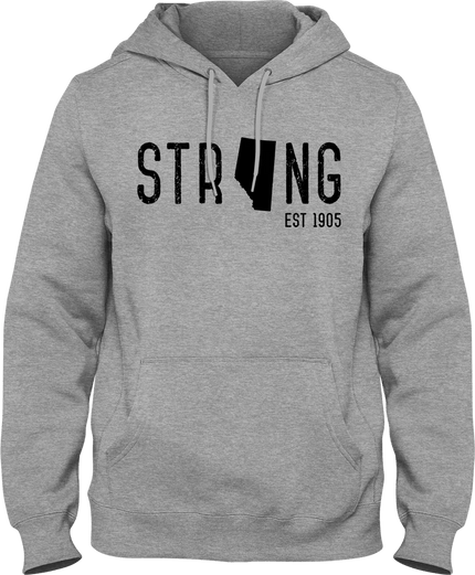 Oil Country Hoodie - Distractions Clothing