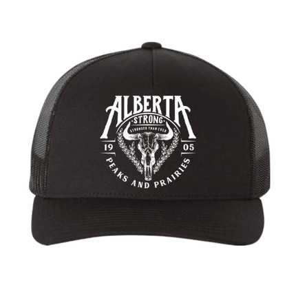 Peaks & Prairies Hat - Distractions Clothing