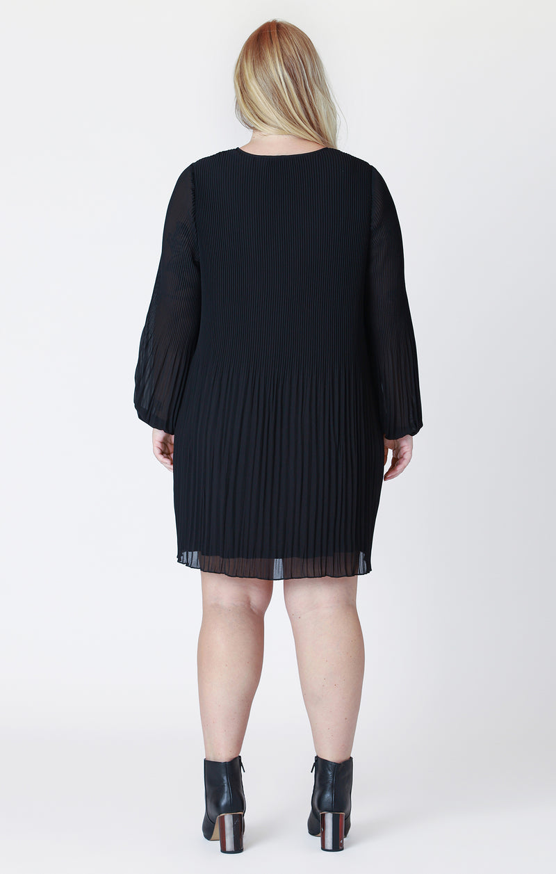 Curvy Rory Pleated Dress