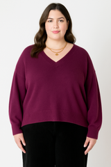 Dex curvy- plus size sweater