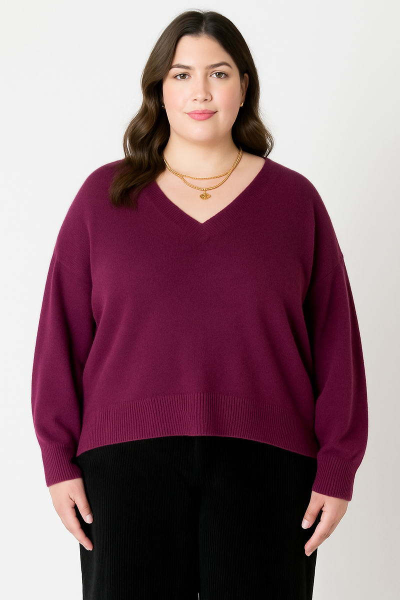 Dex curvy- plus size sweater