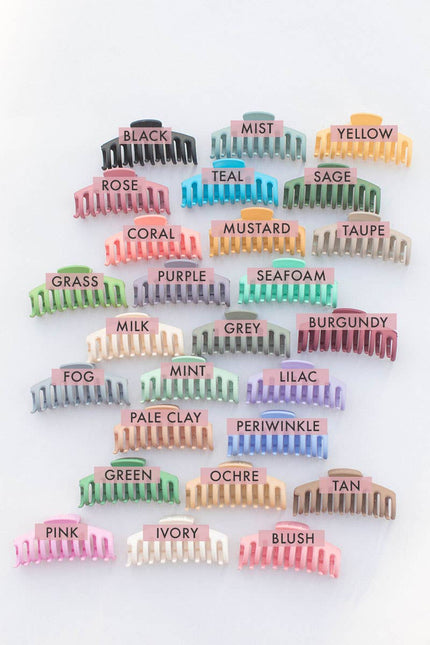 Assorted Jaw Hair Clip - Distractions Clothing