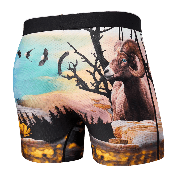 Volt Boxer Brief - Distractions Clothing